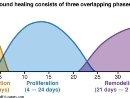 Alcohol Rehab